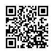 安卓引擎壁纸v1.0.0绿化版-趣奇资源网-第13张图片